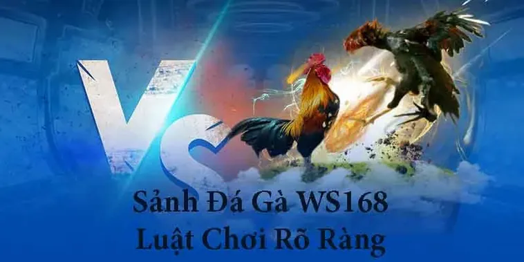 Toàn Tập Cách Chơi Đá Gà WS168 Tại EE88 Luôn Nắm Chắc Phần Thắng 2 Toàn Tập Cách Chơi Đá Gà WS168 Tại EE88 Luôn Nắm Chắc Phần Thắng